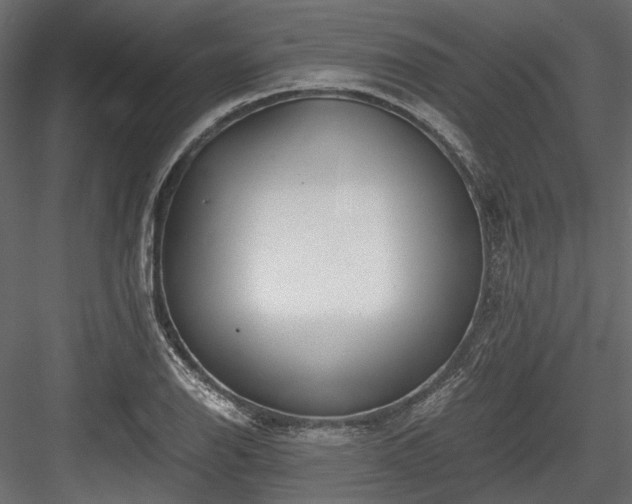 X0000084551126200702231157
