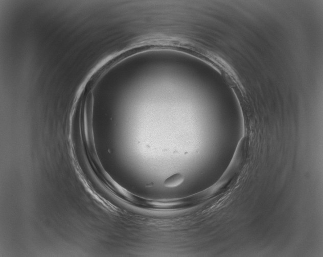 X0000084551128200702231157