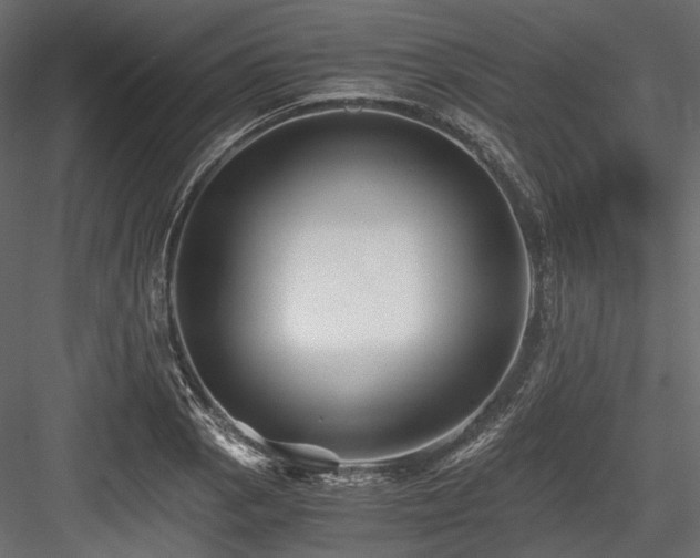 X0000084551129200702231157