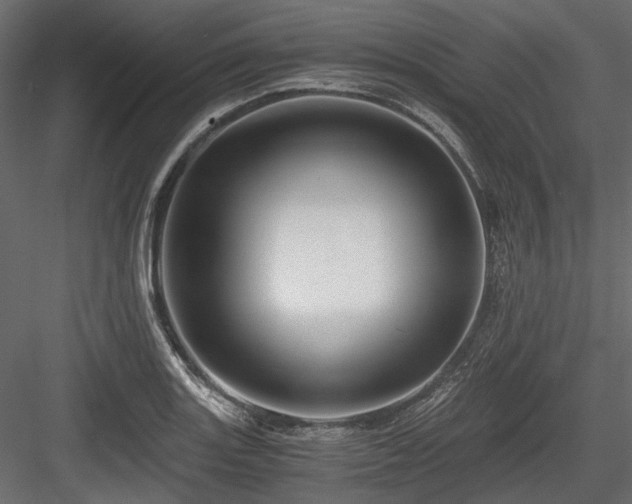 X0000084551131200702231157
