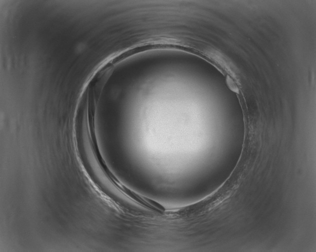 X0000084551133200702231157