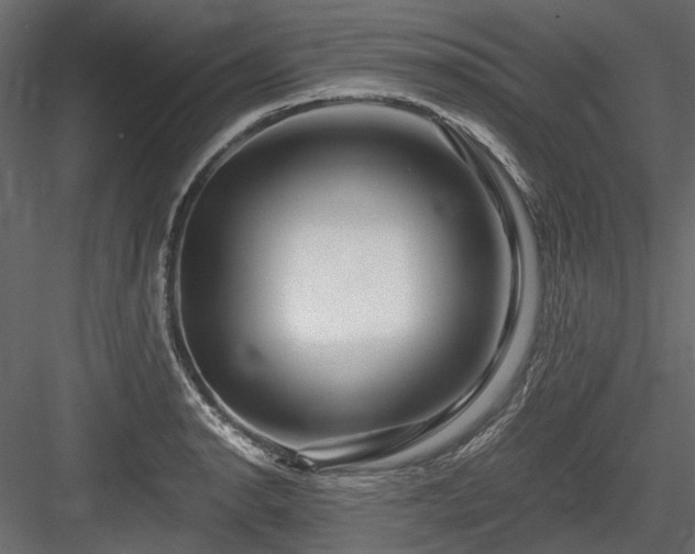 X0000084551134200702231157