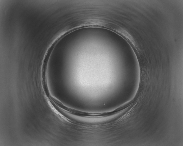 X0000084551135200702231157