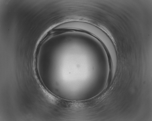 X0000084551136200702231157