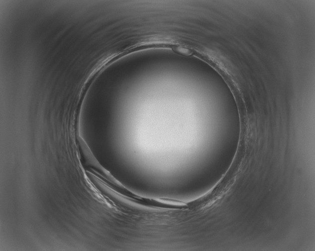 X0000084551137200702231157