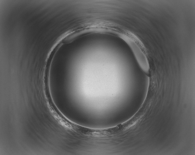 X0000084551138200702231157