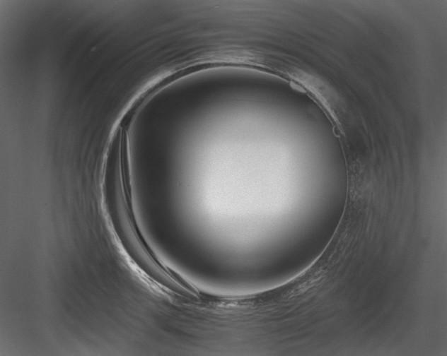 X0000084551139200702231158
