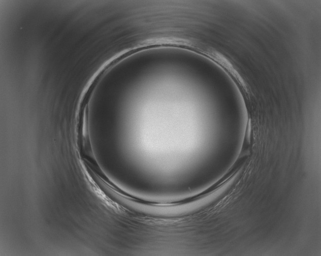 X0000084551140200702231158