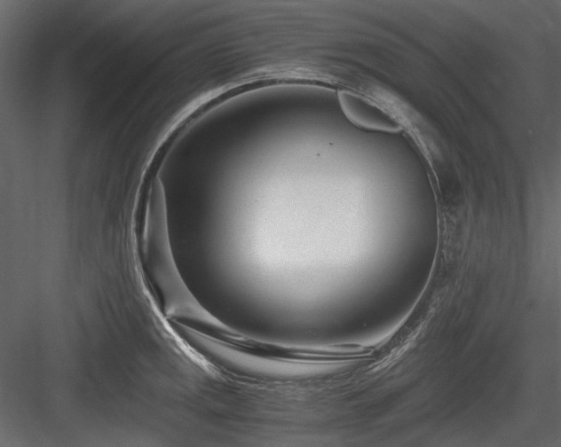 X0000084551141200702231158