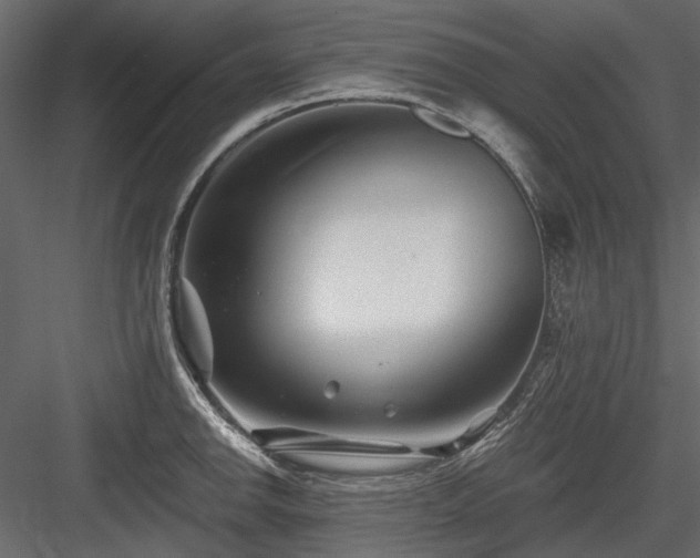 X0000084551142200702231158