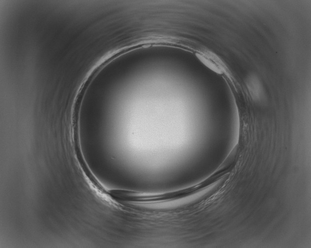 X0000084551143200702231158