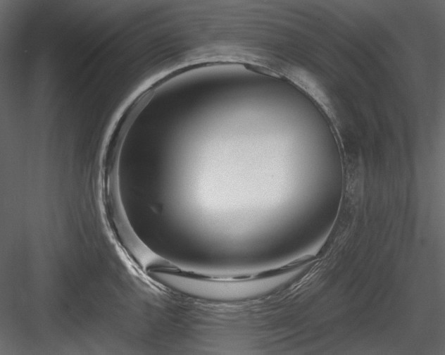X0000084551144200702231158