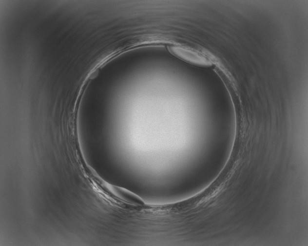 X0000084551145200702231158