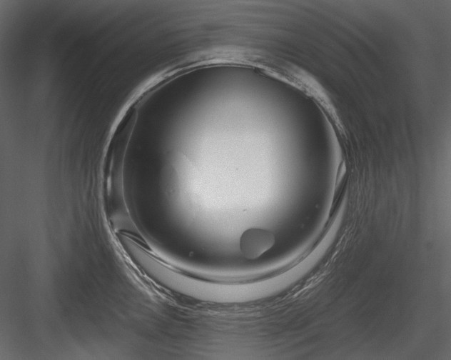 X0000084551146200702231158