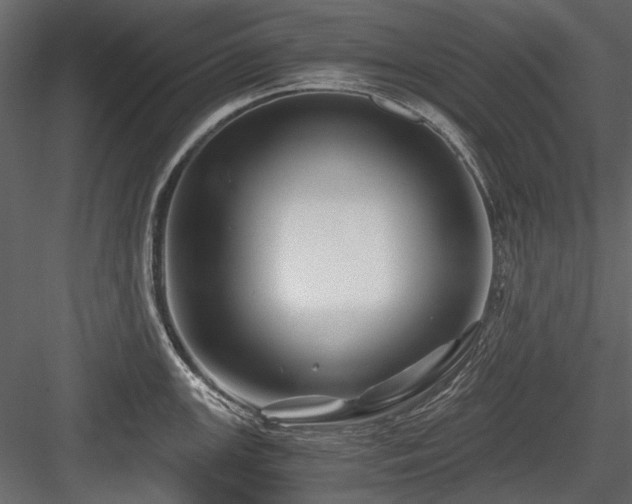 X0000084551147200702231158