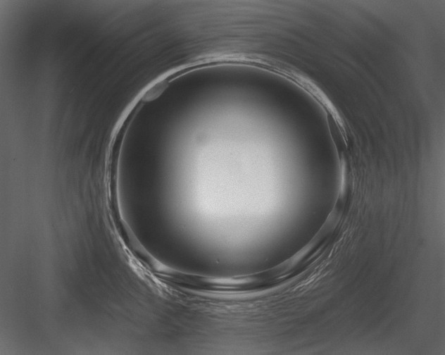 X0000084551148200702231158