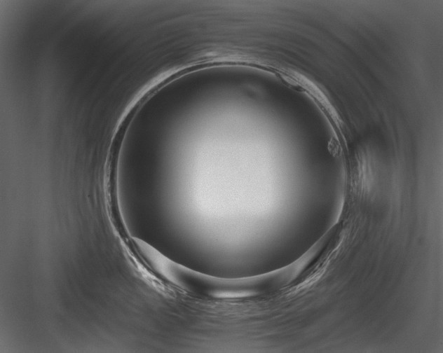 X0000084551149200702231158