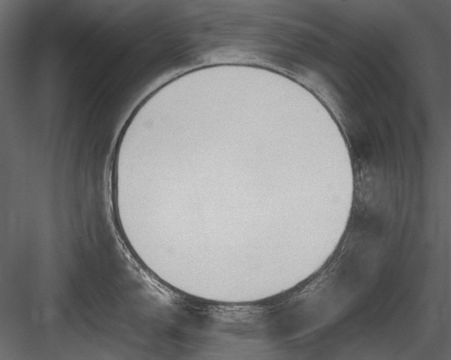X0000084551150200702231158