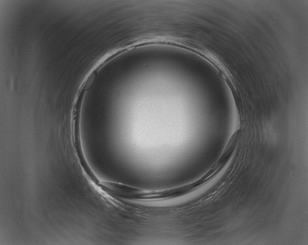 X0000084551151200702231158