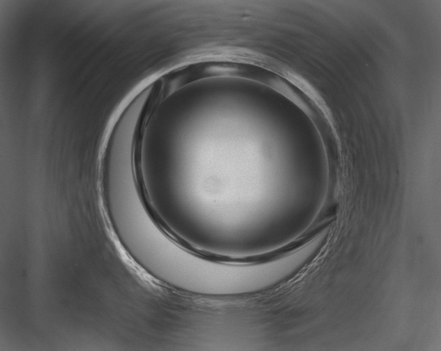 X0000084551152200702231158