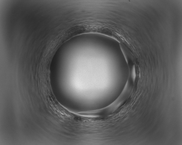 X0000084551153200702231157