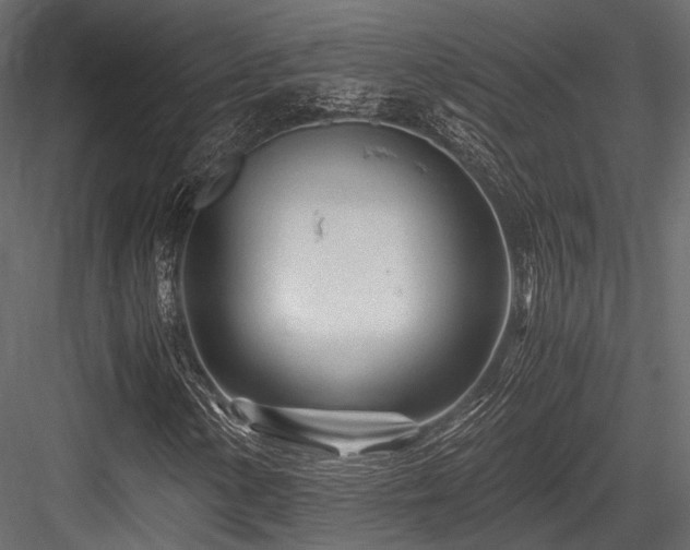 X0000084551154200702231157