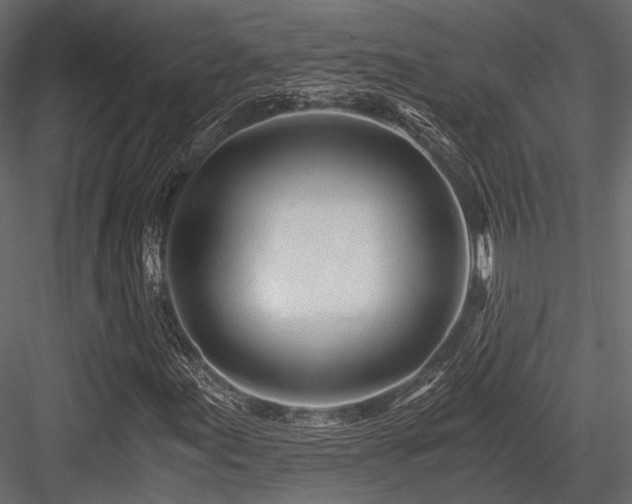 X0000084551155200702231157