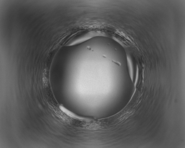 X0000084551156200702231157