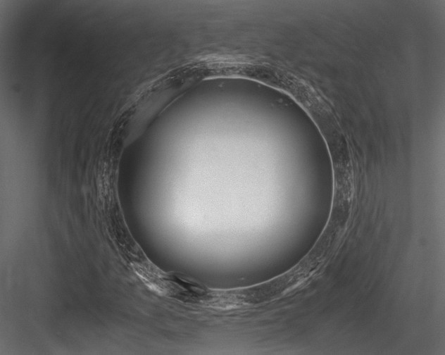 X0000084551157200702231157