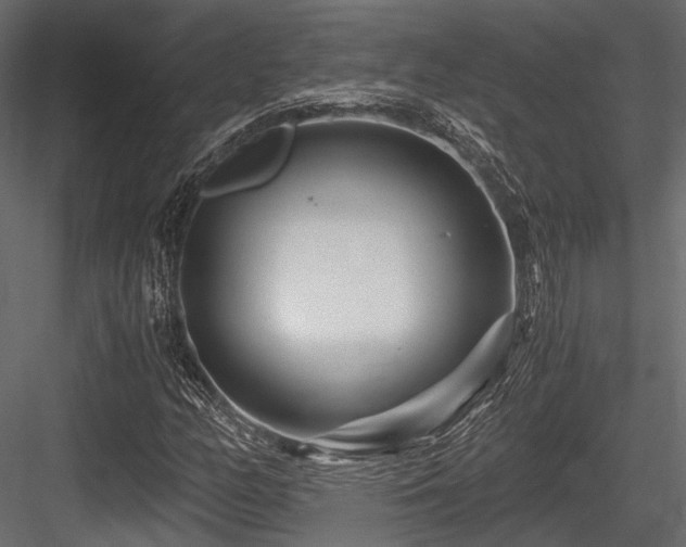 X0000084551158200702231157