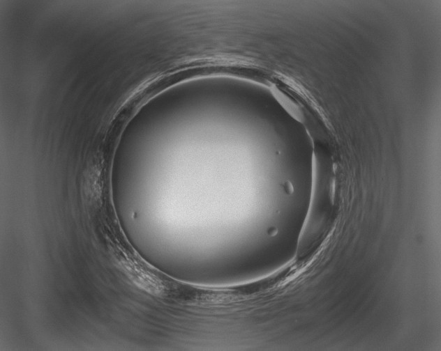 X0000084551163200702231157