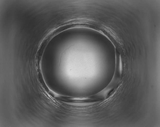 X0000084551164200702231157