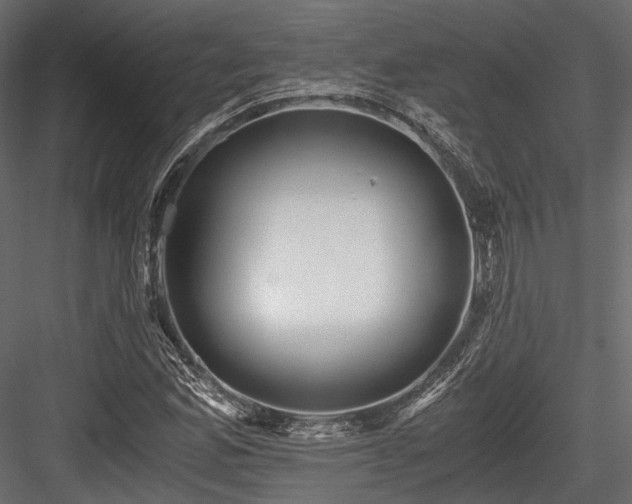 X0000084551165200702231157