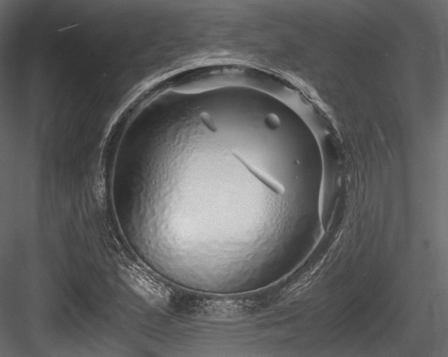 X0000084551167200702231157