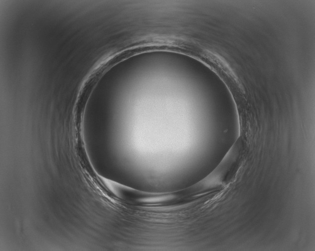 X0000084551172200702231157