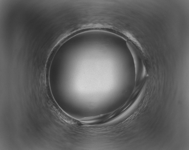 X0000084551173200702231157