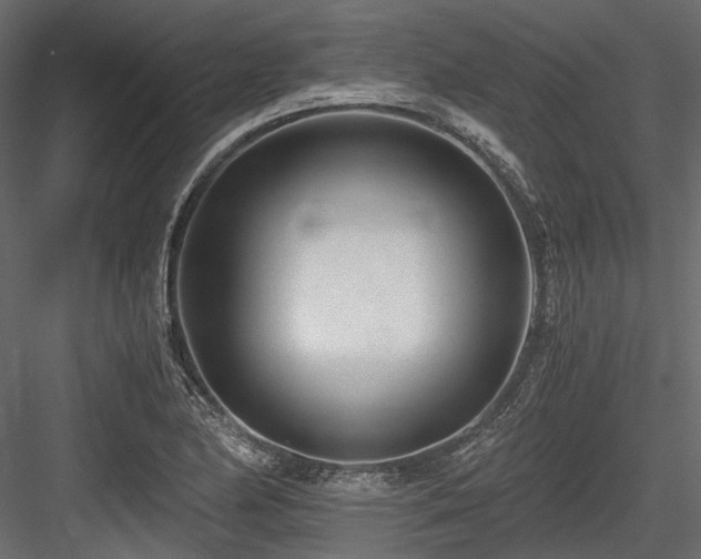 X0000084551174200702231157