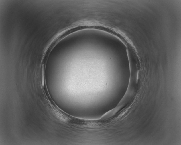 X0000084551175200702231157