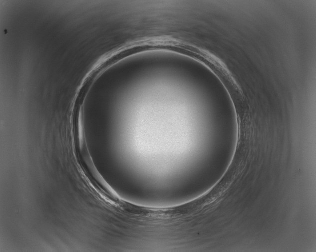 X0000084551176200702231157