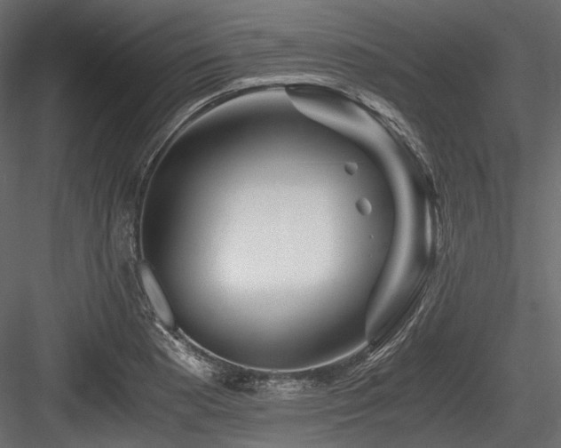 X0000084551177200702231156