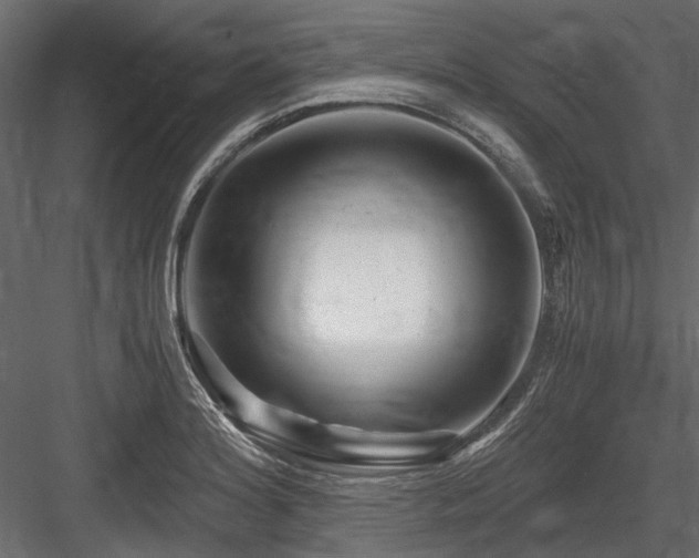 X0000084551180200702231156