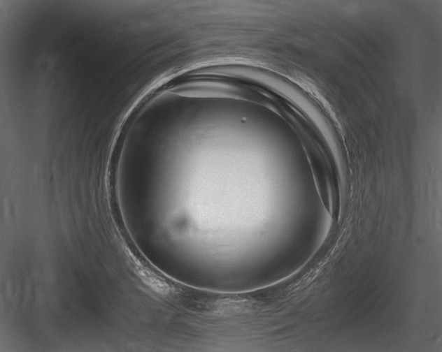 X0000084551181200702231156