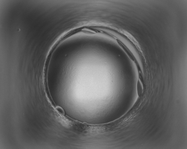 X0000084551183200702231156