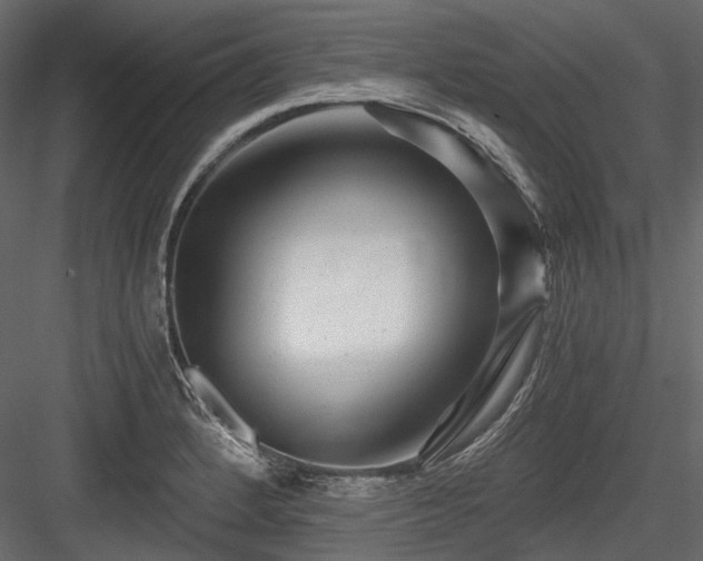 X0000084551184200702231156