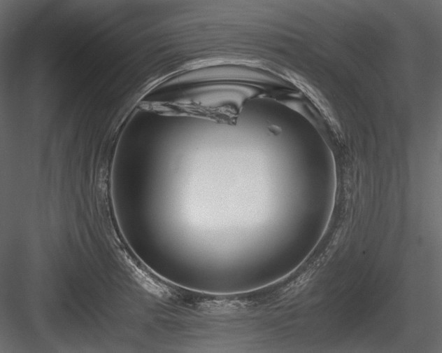 X0000084551185200702231156
