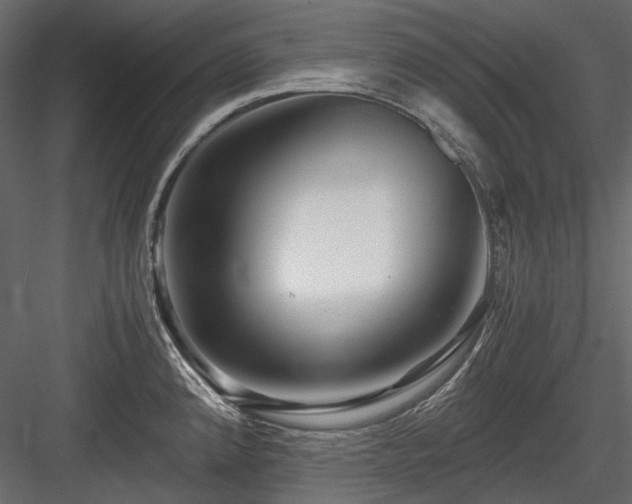 X0000084551192200702231156
