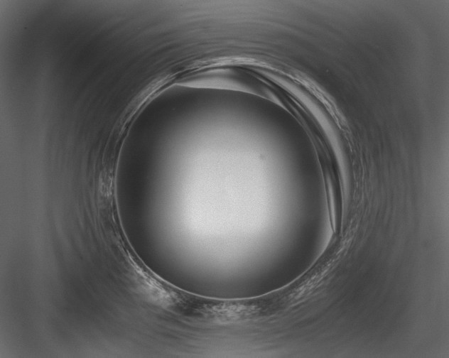 X0000084551193200702231156