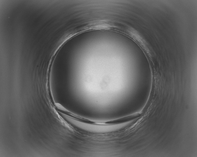 X0000084551194200702231156