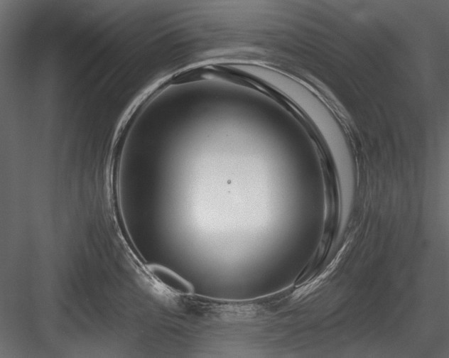 X0000084551196200702231156