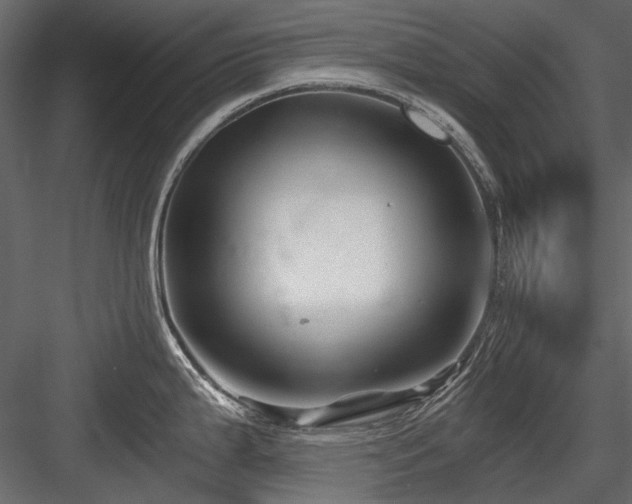 X0000084551199200702231156